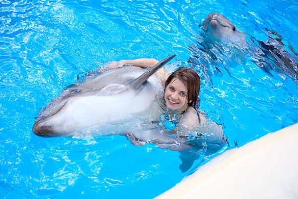 Casas vacacionales en Palma de Mallorca Vacaciones en Palma de Mallorca Villas familiares de lujo Villas de lujo en Mallorca Finca con piscina Sitios para ir de vacaciones en España con playa Lugares para ir de vacaciones de España Vacaciones Vacaciones playa Vacaciones palma Vacaciones en palma Vacaciones en Palma de Mallorca Vacaciones en Mallorca Vacaciones en Mallorca que hacer Vacaciones de lujo Vacaciones de lujo en Mallorca Vacaciones Baleares Central de vacaciones Sitios para ir de vacaciones en España con playa Finca con bodega Casa de alquiler vacacional en mallorca Casa Vacacional en mallorca Casas vacacionales Palma de Mallorca Fincas en mallorca Fincas para alquilar en mallorca Fincas en palma Finca eventos mallorca Finca con piscina Finca con piscina para fiesta Finca con piscina alquiler Fincas familiares