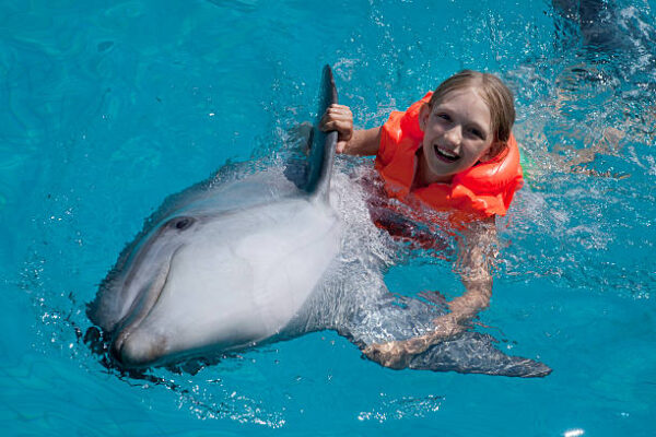 Casas vacacionales en Palma de Mallorca Vacaciones en Palma de Mallorca Villas familiares de lujo Villas de lujo en Mallorca Finca con piscina Sitios para ir de vacaciones en España con playa Lugares para ir de vacaciones de España Vacaciones Vacaciones playa Vacaciones palma Vacaciones en palma Vacaciones en Palma de Mallorca Vacaciones en Mallorca Vacaciones en Mallorca que hacer Vacaciones de lujo Vacaciones de lujo en Mallorca Vacaciones Baleares Central de vacaciones Sitios para ir de vacaciones en España con playa Finca con bodega Casa de alquiler vacacional en mallorca Casa Vacacional en mallorca Casas vacacionales Palma de Mallorca Fincas en mallorca Fincas para alquilar en mallorca Fincas en palma Finca eventos mallorca Finca con piscina Finca con piscina para fiesta Finca con piscina alquiler Fincas familiares