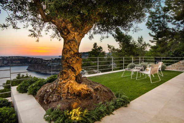 Casa rural con piscina privada Casa rural con piscina Alquiler Casa rural familiares Casas de campo Casas de campo de lujo Casas de campo en alquiler en Mallorca Casas de campo en alquiler en Mallorca particulares Casa rurales mallorca Casa de alquiler vacacional en mallorca Casa Vacacional en mallorca Casas vacacionales Palma de Mallorca Fincas en mallorca Fincas para alquilar en mallorca Fincas en palma Fincas para eventos en mallorca Finca eventos mallorca Finca con piscina Finca con piscina para celebraciones Finca con piscina para fiesta Finca con piscina para cumpleaños Finca con piscina alquiler Fincas para bodas en mallorca Fincas familiares